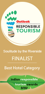 Finalist 2020