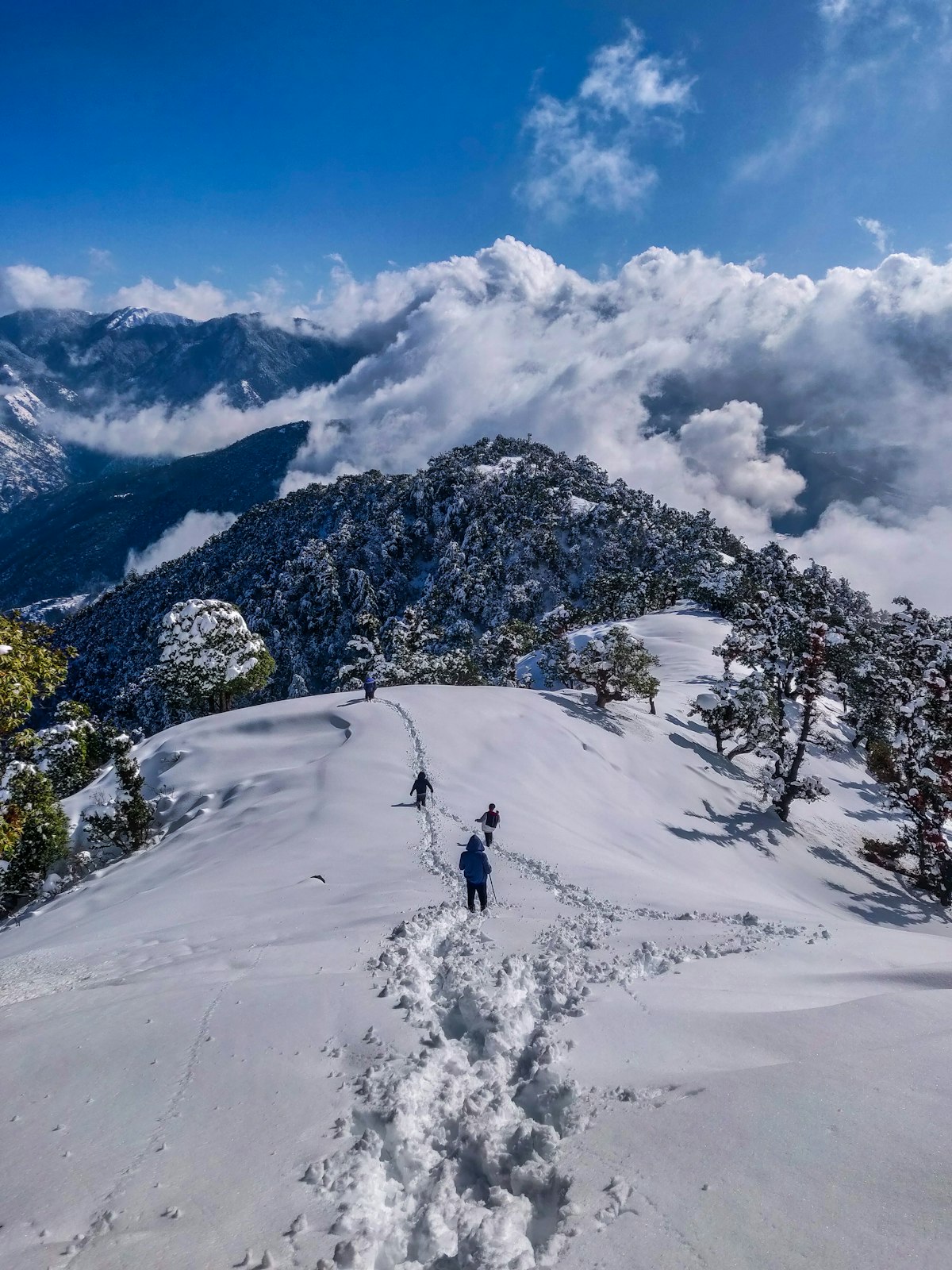 Kausani